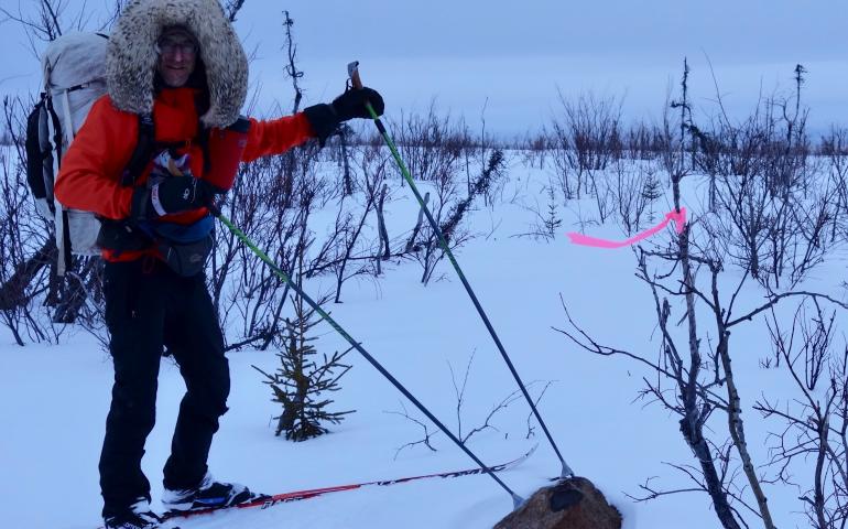 Bob Gillis inspects a rock protruding from near the Iditarod trail near its halfway point in southwest Alaska. Photo by Ned Rozell.