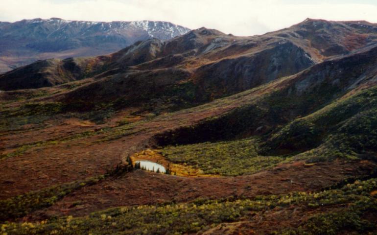 A volcanic crater northeast of Healy, Alaska, that is part of the Buzzard Creek maars. Photo by Chris Nye.