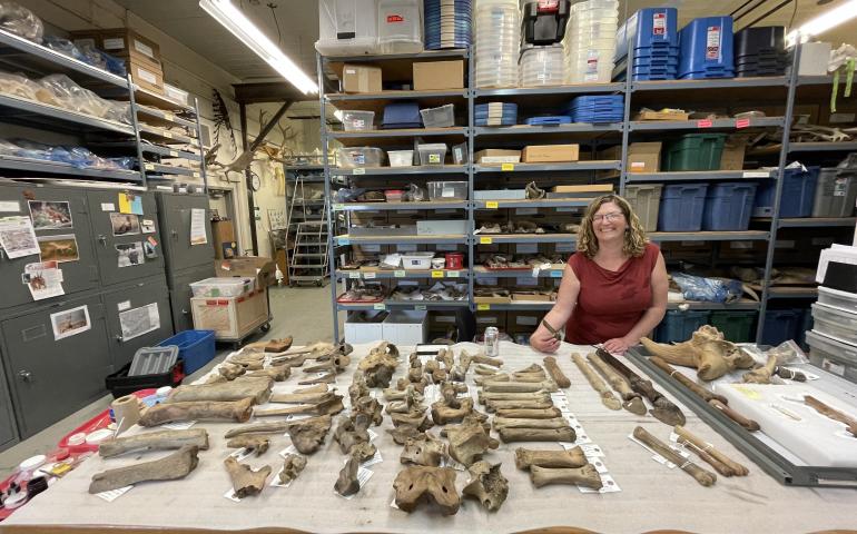 Elizabeth Hall, assistant paleontologist for the Yukon government in Whitehorse, stands in her office laboratory. Photo by Ned Rozell.