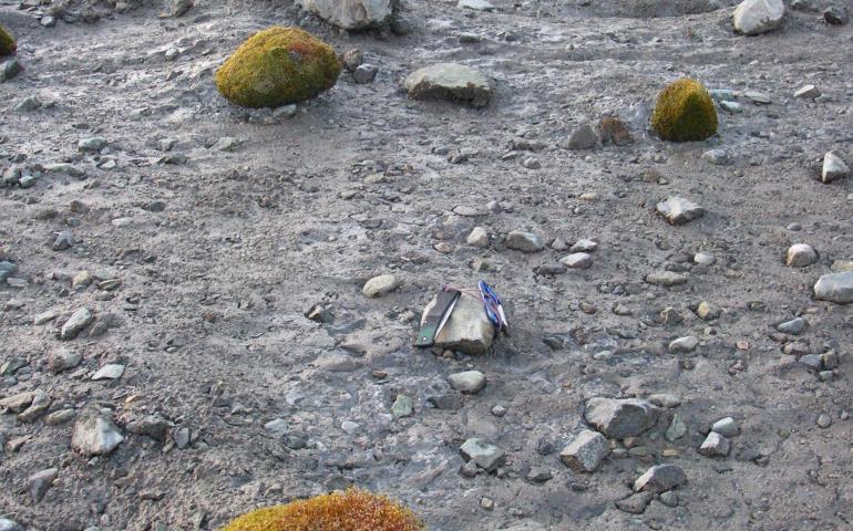 Glacier mice, or moss balls, on the Root Glacier near McCarthy. Photo by Tim Bartholomaus.
