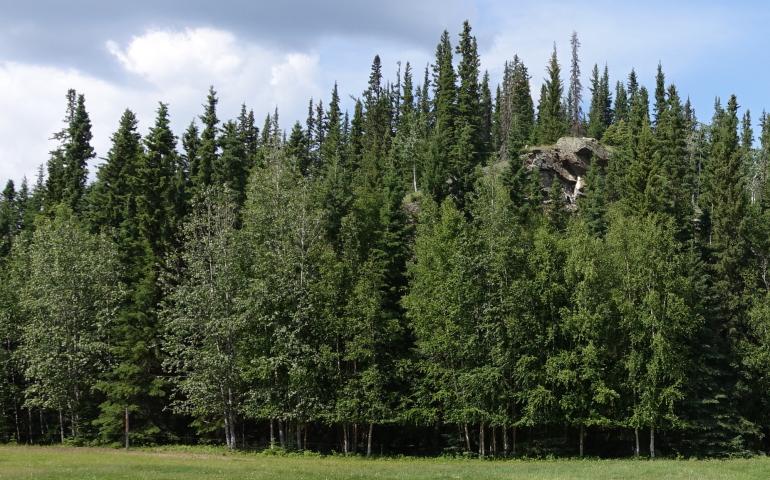 Hollembaek Hill rises from the flats of Interior Alaska near the Tanana River in Delta Junction. Photo by Ned Rozell.