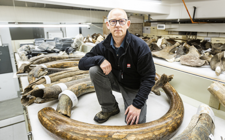 Matthew Wooller of the University of Alaska Fairbanks poses amid woolly mammoth tusks at the university. Photo by JR Ancheta.