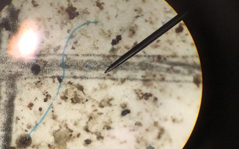 A tiny blue plastic fiber that fell within a raindrop in the Thane area of Juneau, Alaska. The view is of filter paper that captured the plastic fiber, as viewed through a microscope. Photo courtesy Sonia Nagorski.