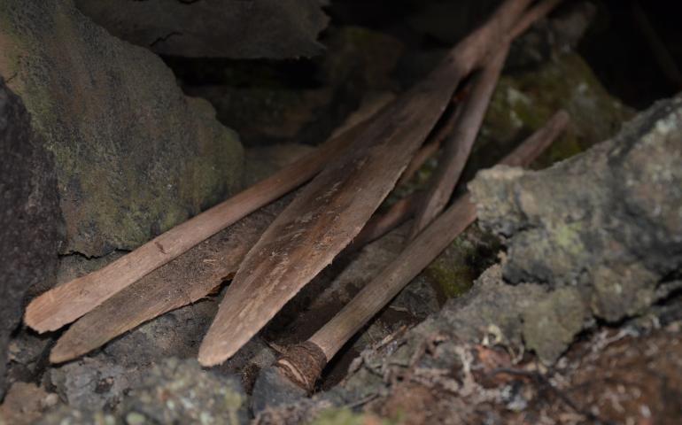Kayak paddles and a spear tipped with a sharpened rock lie in a volcanic cave on the Seward Peninsula in 2010. Photo by Ben Jones.