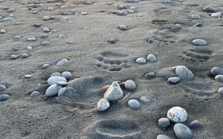 Paul Salopek, a writer who has been walking around the world for more than a decade, strides along the bear-footed beachfront near Malaspina Glacier in August 2025. Photo by Ned Rozell.