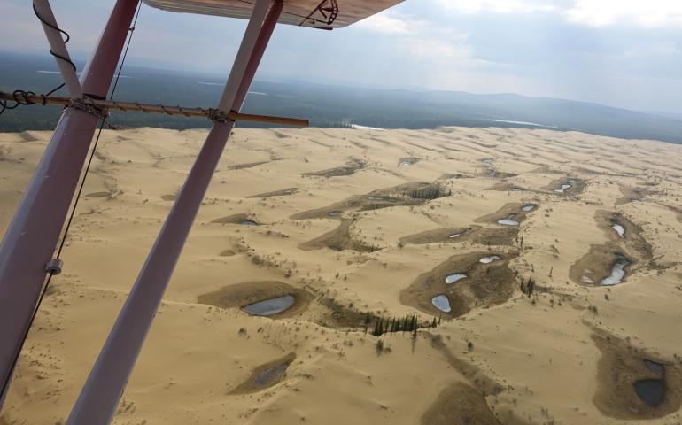 The Nogahabara Dunes, 35 miles west of Huslia, are pocked with oases that sometimes include spruce trees and wood frogs. Photo by Ned Rozell.