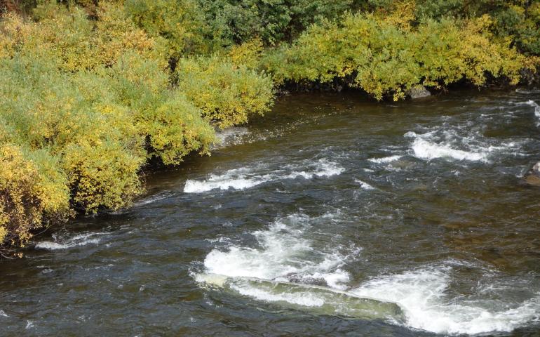 A submerged aluminum canoe on the upper Delta River is like a billboard for those who will read it. Photo by Ned Rozell.