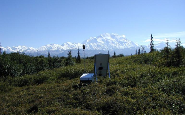  Denali National Park Ecologist Shan Burson has recorded the park's "soundscape" for the past few years. His recorder is set up here on a hill southeast of Wonder Lake. NPS photo, Shan Burson 