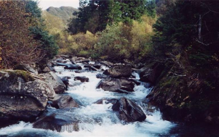  Gold Creek near Juneau, one of 25 Gold Creeks in Alaska. Photo by Sven Eric Franzen. 