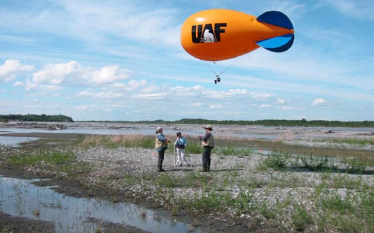 From left, UAF Agricultural Research Technician Beth Hall, graduate student Risa Ikeya, and assistant professor Norm Harris use a tethered blimp to measure the extent of a white sweet clover invasion on the Matanuska River. Trish Wurtz photo 
