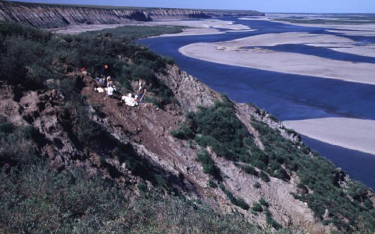  Scientists work at the Kikak-Tegoseak dinosaur bone quarry on Alaska’s North Slope in 2002. This site has yielded a large amount of horned dinosaur bones and bones from other dinosaurs, such as hadrosaurs and theropods. Tony Fiorillo photo. 