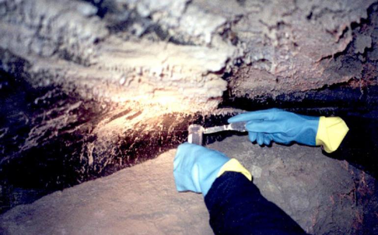  Richard Hoover of NASA takes ice samples from the permafrost tunnel in Fox, Alaska. In these samples, he found bacteria not known to science that began moving when he thawed the ice sample. Photo courtesy Richard Hoover. 