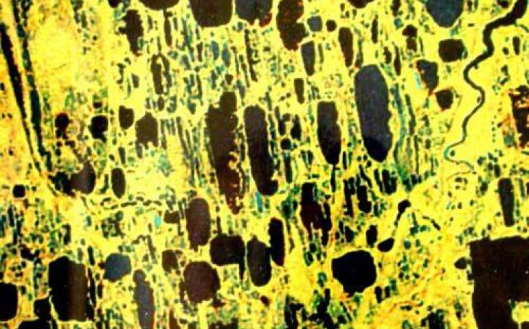  An image from a U2 aircraft shows similar lakes in the flat country near Prudhoe Bay. 