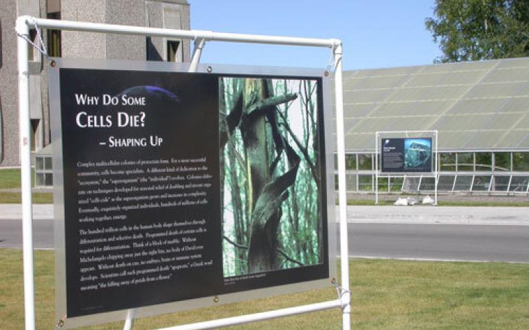  The exhibit “Walk through Time . . . From Stardust to Us” will be displayed again on the UAF campus in September 2005. Ned Rozell photo. 