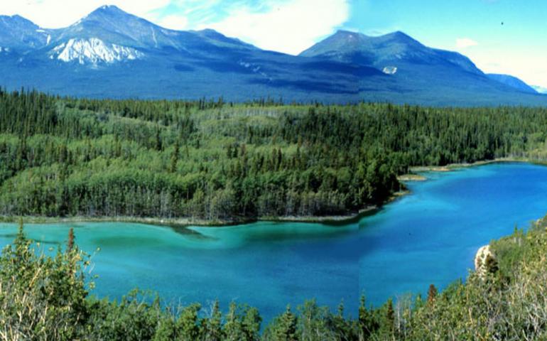  Jellybean Lake in the Yukon Territory holds a sediment record that tells Lesleigh Anderson of the USGS in Denver that the interior of the Yukon is the driest it's been in 5,000 years. Photo by Lesleigh Anderson. 