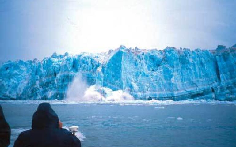  Hubbard Glacier calves into Disenchantment Bay. Fresh water entering the Gulf of Alaska through glacial melt and other sources seems to be making the northern ocean fresher and warmer. Photo by Ned Rozell. 