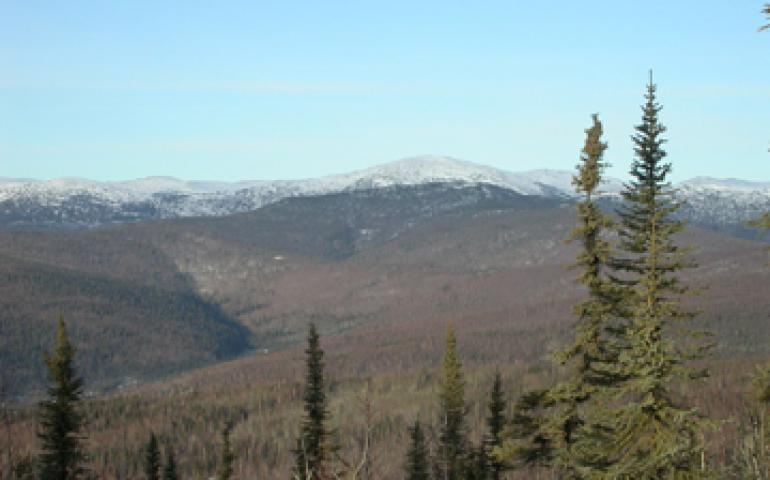  Higher elevations in Alaska are often warmer in winter due to temperature inversions. photo by Ned Rozell. 