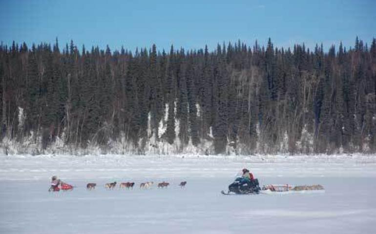  Tohru Saito passes a headwind-ducking Iditarod musher while on a permafrost-observatory drilling trip from Manley to St. Marys. Photo by Kenji Yoshikawa. 