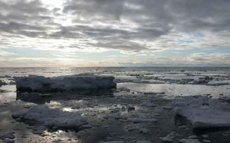  Sea ice floating offshore of Gambell. Photo by Ned Rozell. 
