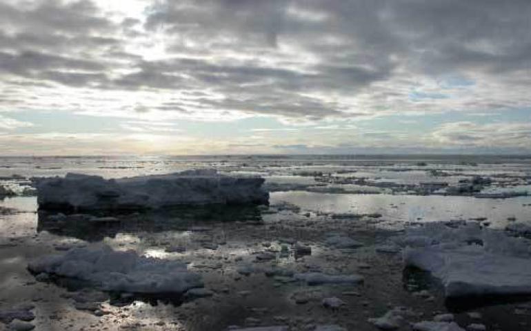  Sea ice off Gambell, Alaska. Photo by Ned Rozell. 