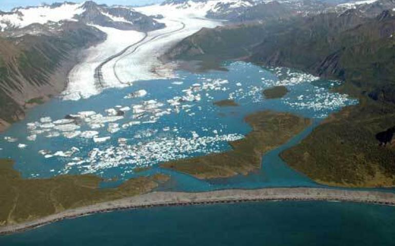  Bear Glacier on the Kenai Peninsula floating on a lake of its own creation, photographed in 2005. Photo by Bruce Molnia, USGS. 