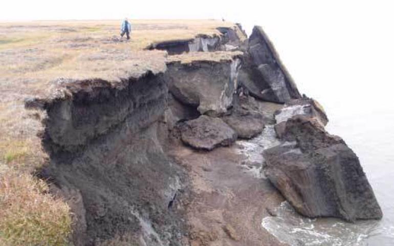  Christopher Arp of the USGS Alaska Science Center stands on part of Alaska’s eroding northern coast, between Lonely and Cape Halkett. Photo by Benjamin Jones. 