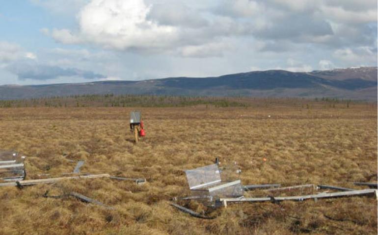  Christian Trucco walking off the permafrost-monitoring site near Eightmile Lake off the Stampede Trail near Healy, Alaska. Photo by Jason Vogel. 