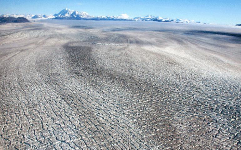  The cracked-up back of surging Bering Glacier, taken in early fall 2009 about 10 glacier miles upstream from where it ends at Vitus Lake. The whitish mountain in the far background is Mount Saint Elias. Photo by Chris Larsen. 