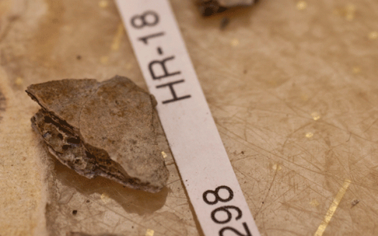 Bone fragments from a three-year old who died 11,500 years ago in the Tanana Valley.