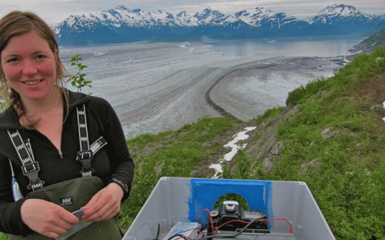 Barbara Truessel of UAF&rsquo;s Geophysical Institute sets up a time lapse camera near Yakutat Glacier which will become several glaciers because of melting. Photo by Chris Larsen.