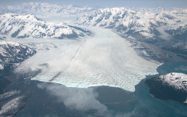 Hubbard Glacier’s advance toward Gilbert Point near Yakutat, as seen by glaciologist Chris Larsen on May 30, 2011. Photo by Chris Larsen.