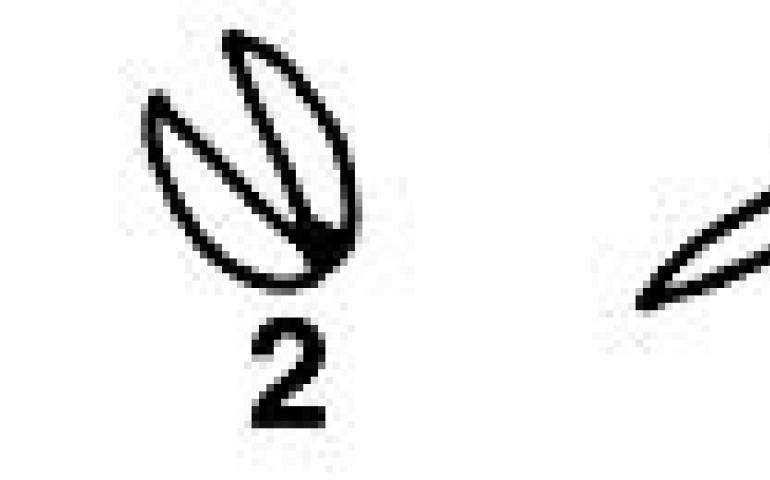 A sketch of the unidentified object over time.