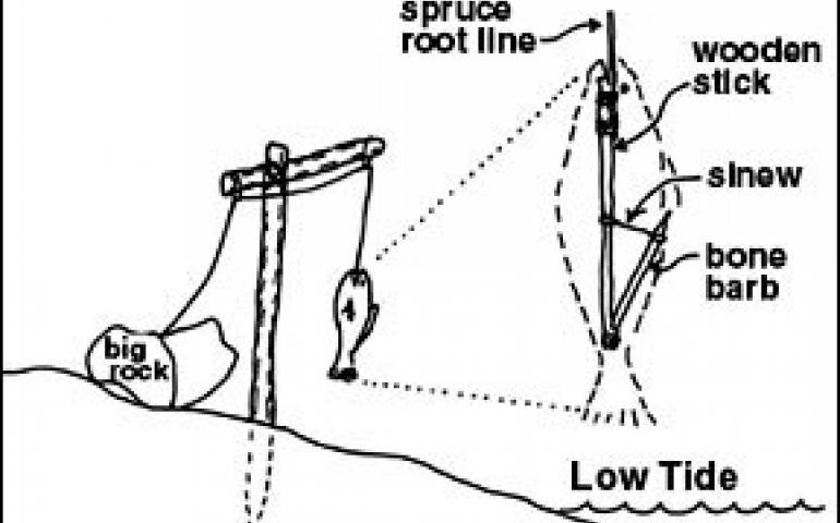 Illustration of the Tanaina Halibut Set.