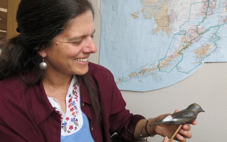 Biologist Julie Hagelin with a decoy olive-sided flycatcher made with a 3-D printer.