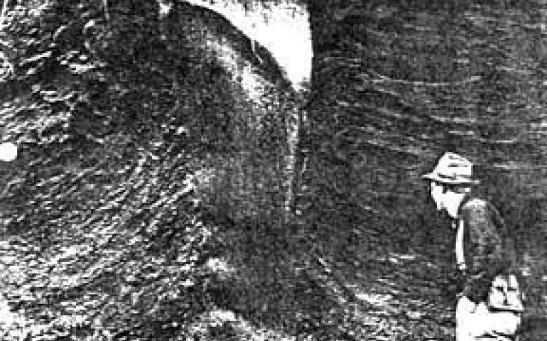 Thefoliated structure of this classic example of an ice wedge indicates a layer-by-layer buildup of the wedge over hundreds of years. Pressure from the building wedge has turned upwards the soil on either side. Annual thawing prevents the ice wedge from growing above the top of the permafrost line and thereby gives it a distinct, flat top. Photo by Troy Pewe.