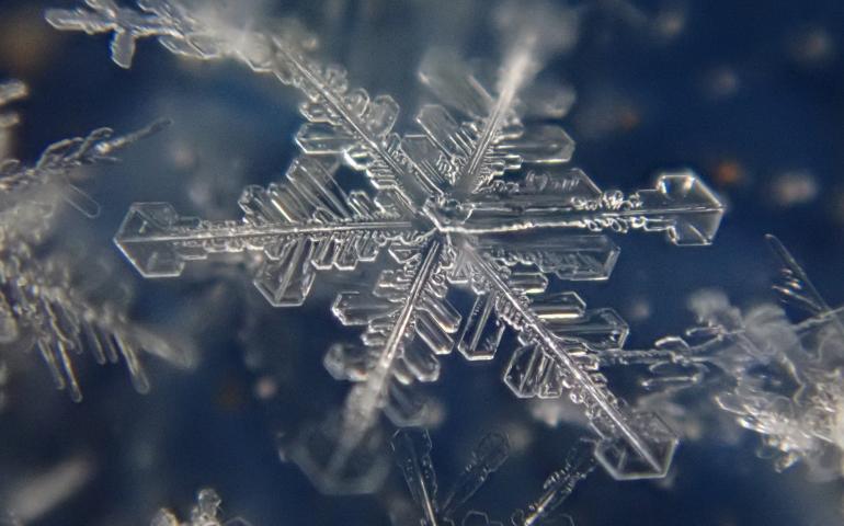 A. Matthew Sturm captured these images of snow crystals falling in a Dec. 26, 2021, storm in Fairbanks. Their shapes correspond to different temperatures and humidity within the cloud that formed them. Matthew Sturm photos.