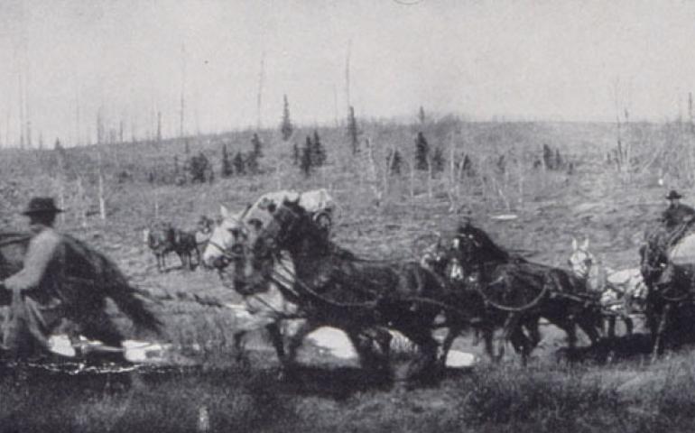  A surveying crew marks the 141st Meridian between Canada and Alaska in 1912. Photo courtesy of the NOAA Photo Library. 