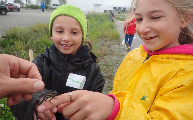  Trinitey Landry and Anna Rozell watch a dragonfly caught at UAF Summer Sessions Bug Camp on the UAF campus.