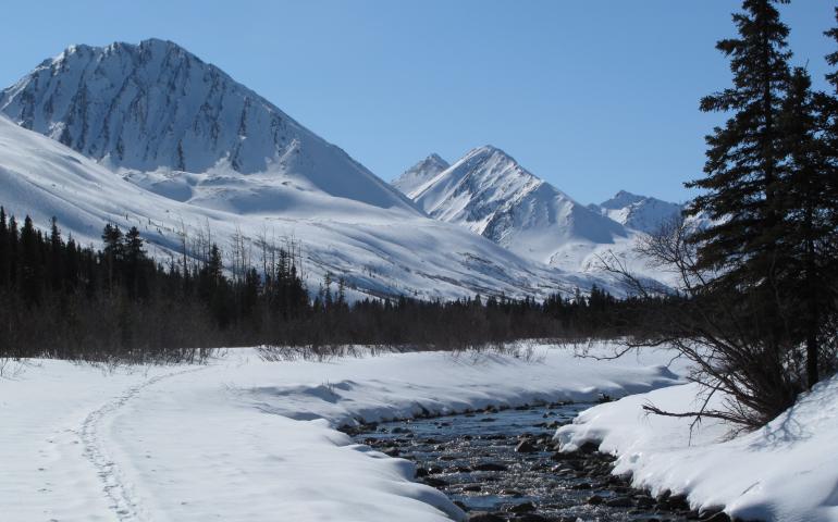 Denali has the clearest air of any monitored U.S. national park. Ned Rozell