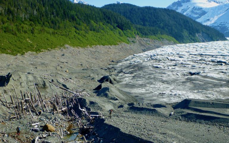 A “ghost forest” exposed as La Perouse Glacier in Southeast Alaska retreated. In the past, the glacier ran over the rainforest trees. Two people are also in the photo. Photo by Ben Gaglioti. 
