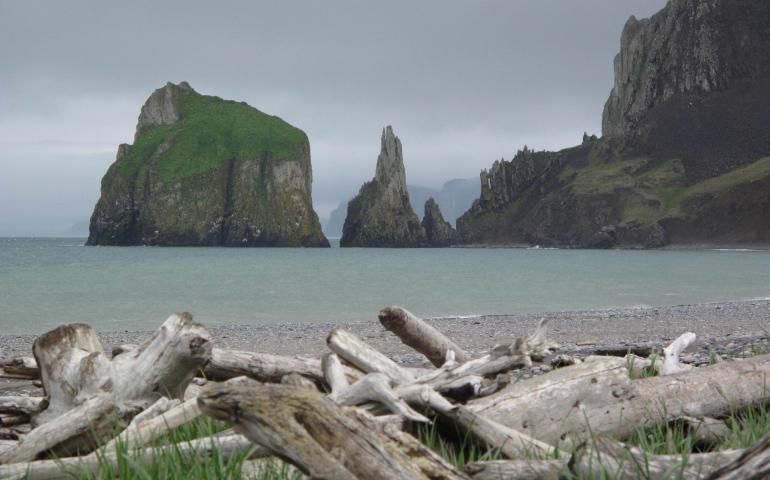 Bull Seal Point, on St. Matthew Island. Photo by Ned Rozell.