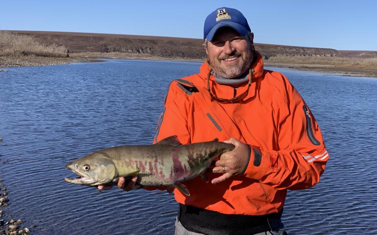 Peter Westley holds a mostly spawned out female chum salmon he captured in the Anaktuvuk River, just behind him, in September 2023. Photo courtesy Peter Westley.