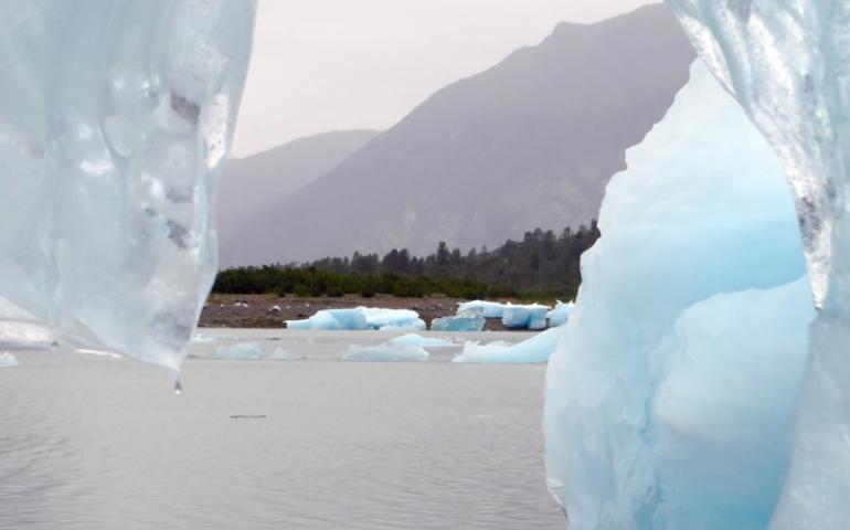 Ice like this in Glacier Bay is among the fresh water flowing from land to sea in southern Alaska. Photo by Joanna Young.