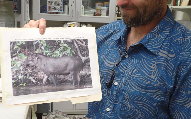 Patrick Druckenmiller of the UA Museum of the North holds the fossilized jaw of a tapir discovered near Homer by a 5-year-old last year. Photo by Ned Rozell.