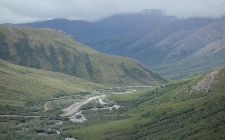 The last forested valley on North America’s road system, at the base of Chandalar Shelf on the Dalton Highway. Photo by Ned Rozell.