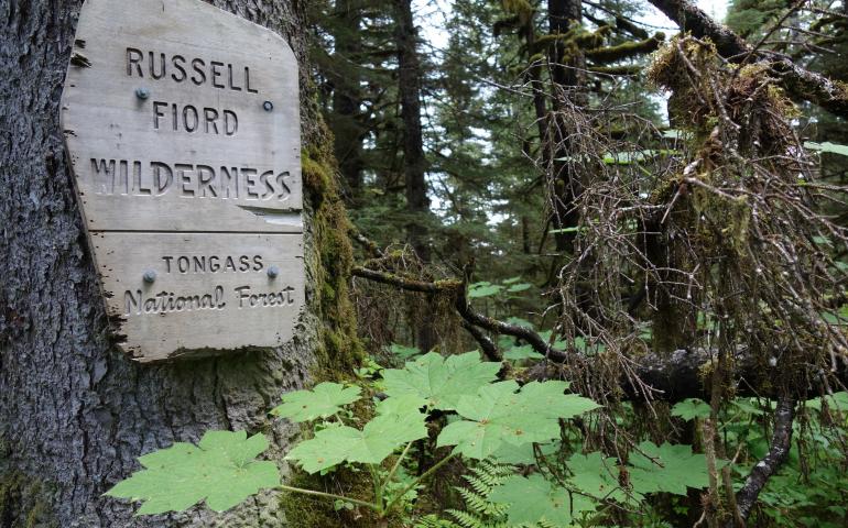 The Russell Fjord Wilderness is a wishbone-shaped 348,701-acre buffer zone around Russell Fjord and Nunatak Fjord near the town of Yakutat. Photo by Ned Rozell.