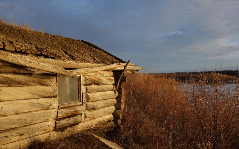 A cabin remaining at the site of Shuman House on the Porcupine River. Photo by Ned Rozell. 