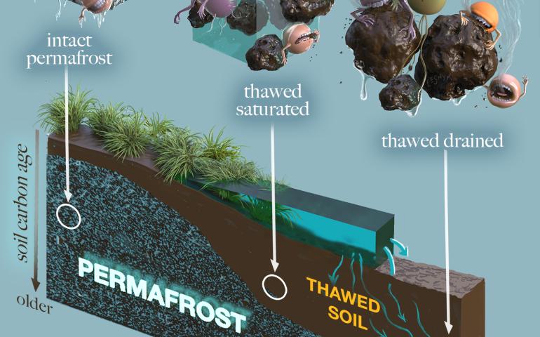 Victor Leshyk of Northern Arizona University created this artwork of microbes — in this case bacteria — and their activity in different states of frozen and unfrozen ground. Courtesy of Northern Arizona University.