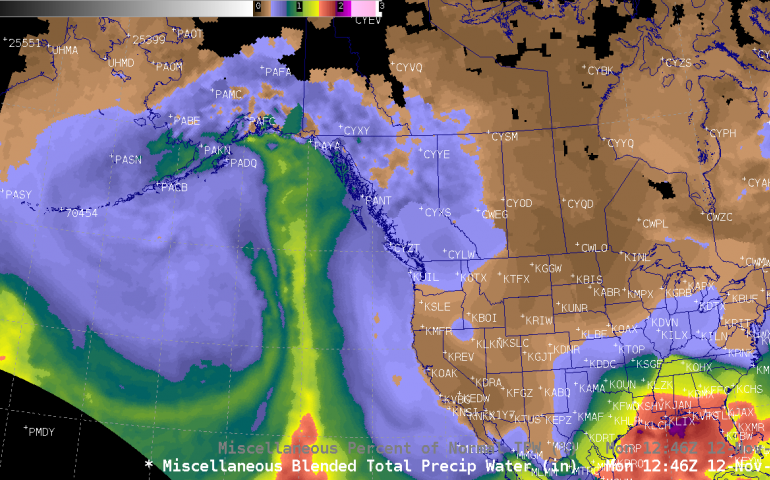 An atmospheric river that transported immense amounts of water vapor from the tropics to Southcentral Alaska in November 2018. Courtesy of NOAA Office of Satellite and Product Operations.