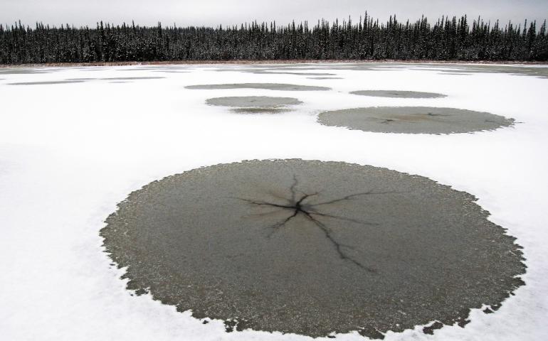 Lake stars form on Smith Lake, part of the University of Alaska Fairbanks campus. Photo by Tohru Saito.